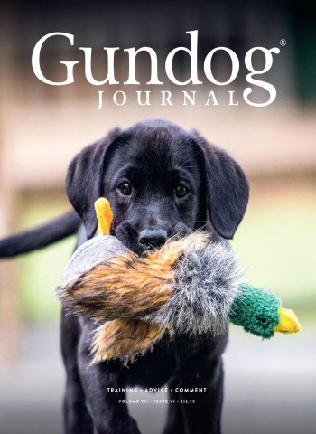 Gundog Journal - Volume VIII Issue VI 2026 cover