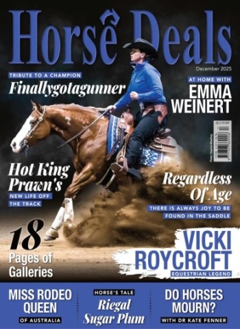 Horse Deals - December 2025 Magazine