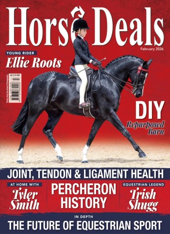 Horse Deals - February 2026 cover