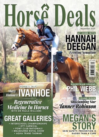 Horse Deals - November 2025 Magazine