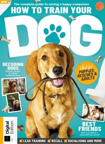 How To Train Your Dog - 4th Edition - 2 April 2026 cover