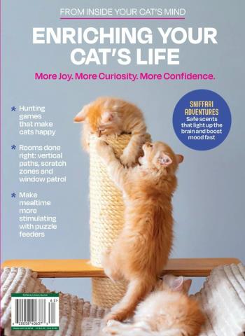 Inside Your Cat's Mind - Enriching Your Cat's Life 2026 Magazine