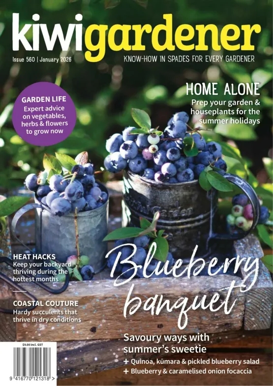 Kiwi Gardener - January 2026 Magazine
