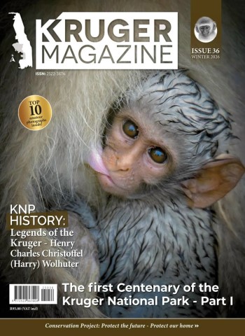 Kruger Magazine - Winter 2026 Magazine