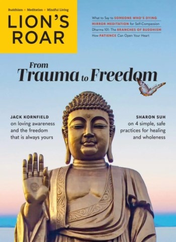 Lion's Roar - January 2026 Magazine