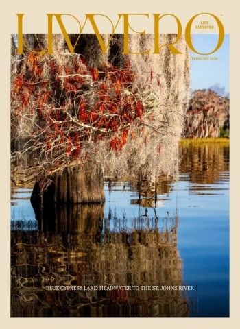 Liv Vero Magazine - February 2026 Magazine