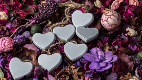 Hearts Flowers Herbarium Wallpaper