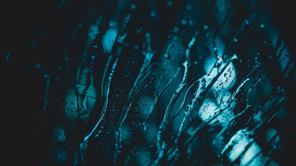 Glass Water Drips wallpaper