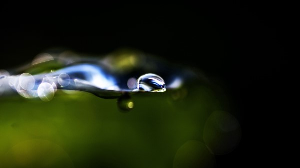 Grass Leaf Drop Glare Circle wallpaper