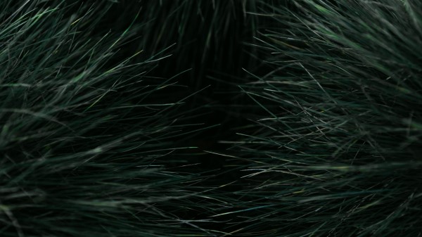 Grass Macro Plant wallpaper