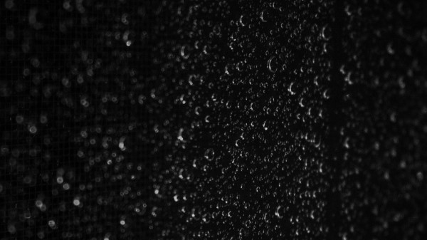 Photography Drops Macro Wet Wallpaper