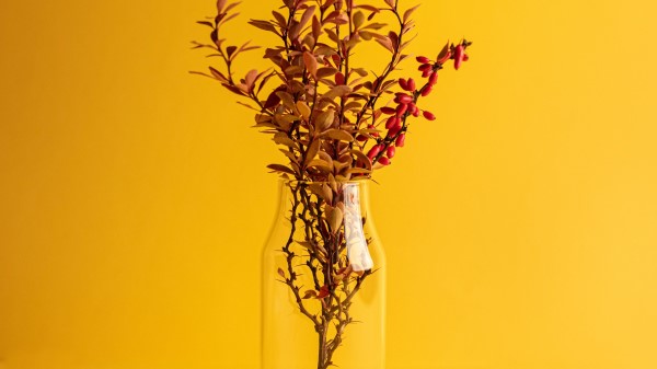 Branch Vase Minimalism wallpaper