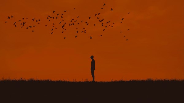 Man Silhouette Birds Wallpaper