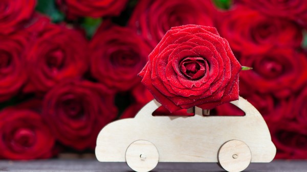 Bouquet Car Red Flower Red Rose 5k wallpaper