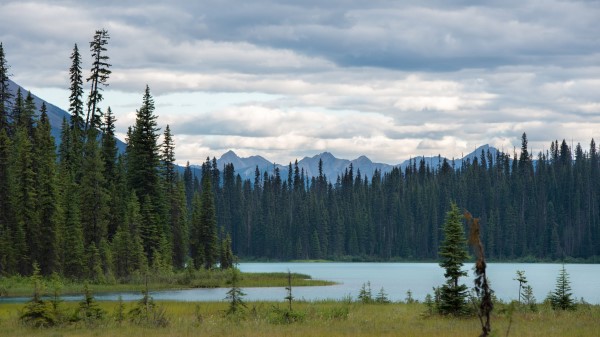 Emerald Lake Yoho National Park 5k Wallpaper