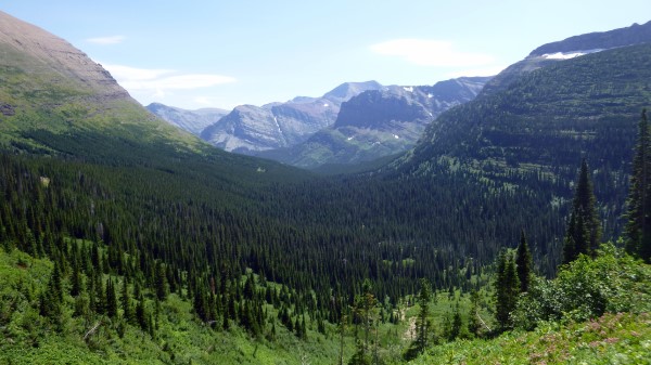 Forested Valley Along Iceberg Lake Trail Glacier National Park 5k wallpaper