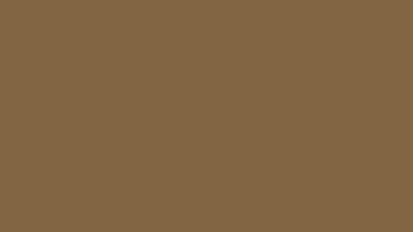 Raw Umber Solid Color Background 8k wallpaper