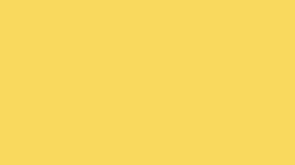 Royal Yellow Solid Color Background 8k Wallpaper
