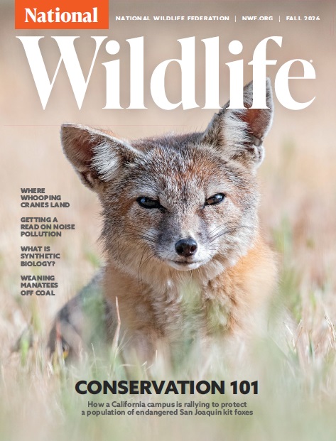 National Wildlife - Fall 2026 Magazine