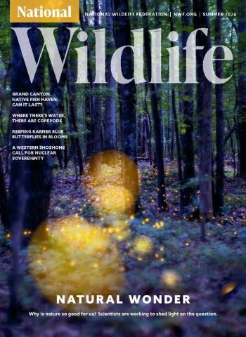 National Wildlife - Summer 2026 cover