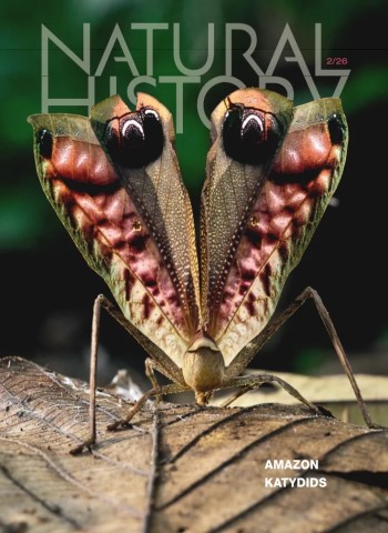 Natural History - February 2026 Magazine