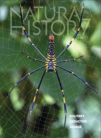 Natural History - June 2026 cover