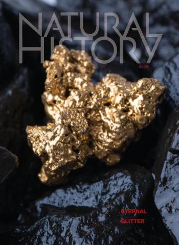 Natural History - May 2026 cover