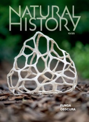 Natural History -October 2025 Magazine