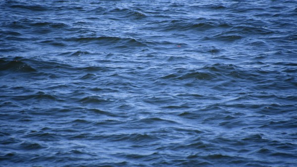 Water Waves Ripples Image Wallpaper