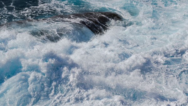 Waves Reef Spray Wallpaper