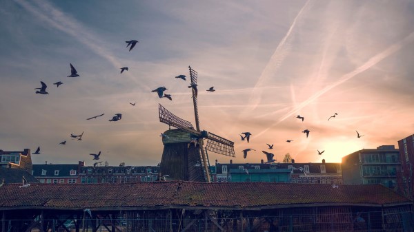 Windmill Birds Buildings Sky Wallpaper