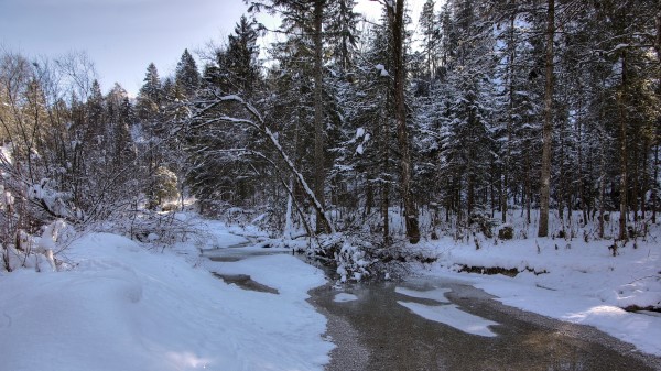 Winter Snow River Forest Landscape Wallpaper