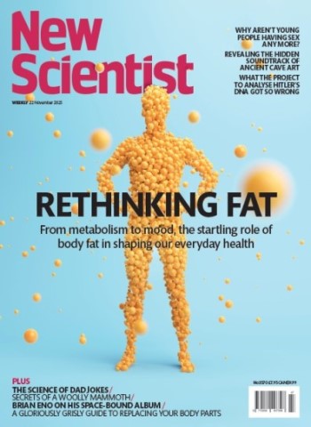 New Scientist International Edition - No.3570, 22 November 2025 Magazine