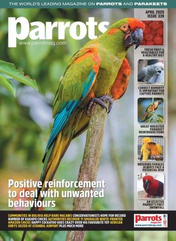 Parrots - April 2026 cover