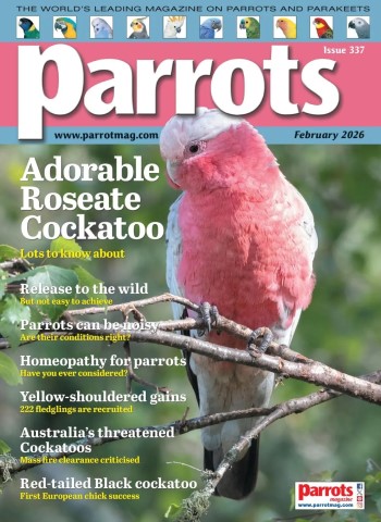 Parrots - February 2026 cover