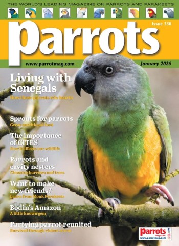 Parrots - January 2026 Magazine