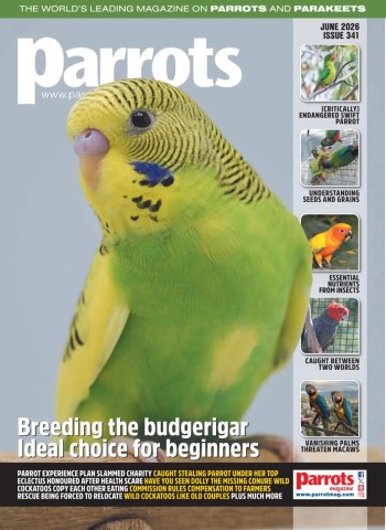 Parrots - June 2026 cover