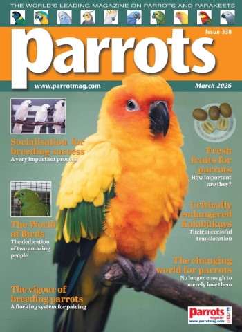 Parrots - March 2026 cover
