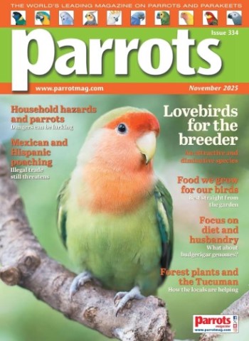 Parrots - November 2025 Magazine