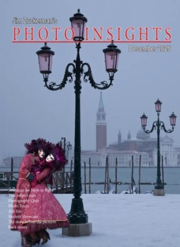 Photo Insights - December 2025 Magazine