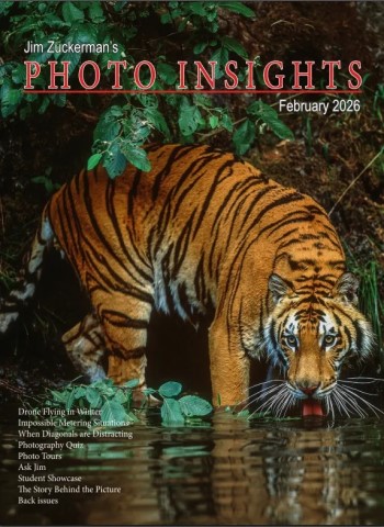 Photo Insights - February 2026 cover