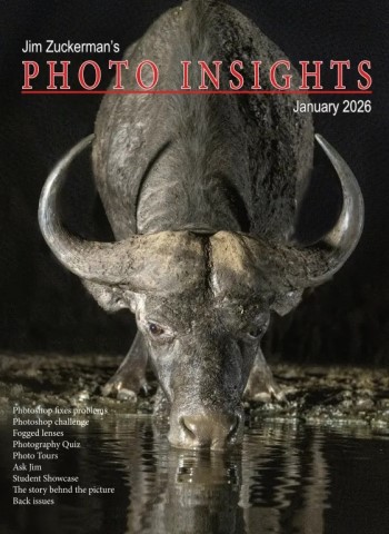 Photo Insights - January 2026 Magazine