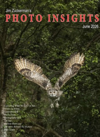 Photo Insights - June 2026 cover