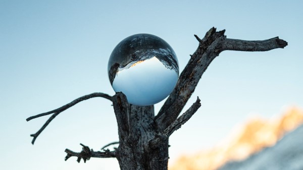 Tree Ball Glass wallpaper