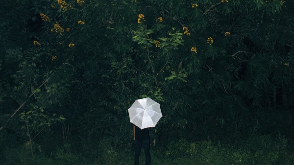 Umbrella Grass Man wallpaper