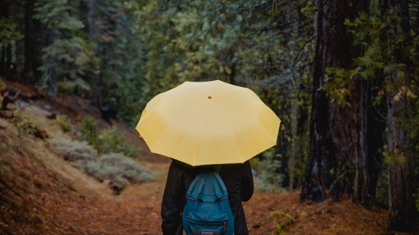 Umbrella Person Walk wallpaper