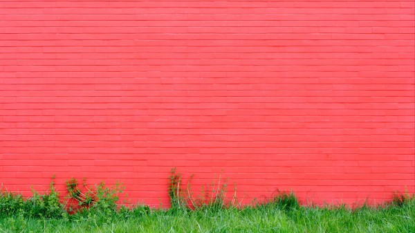 Grass pink wall wallpaper