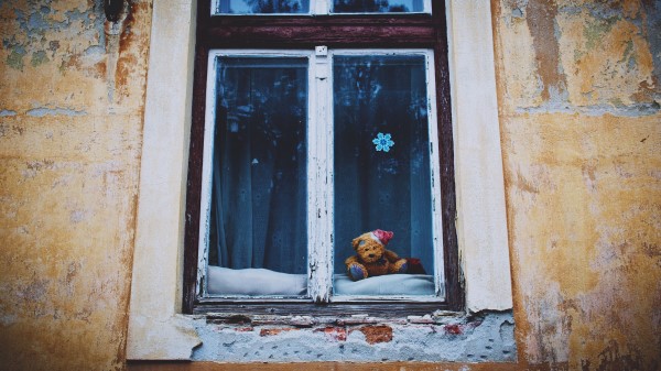 Window Teddy Bear Vintage wallpaper