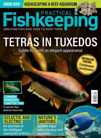 Practical Fishkeeping - April 2026 cover