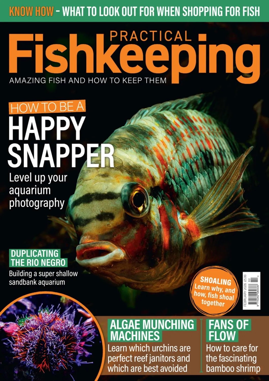 Practical Fishkeeping - February 2026 cover